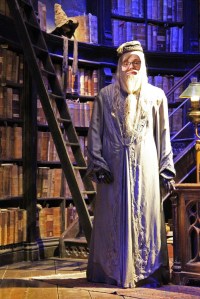 dumbledorme-as-me