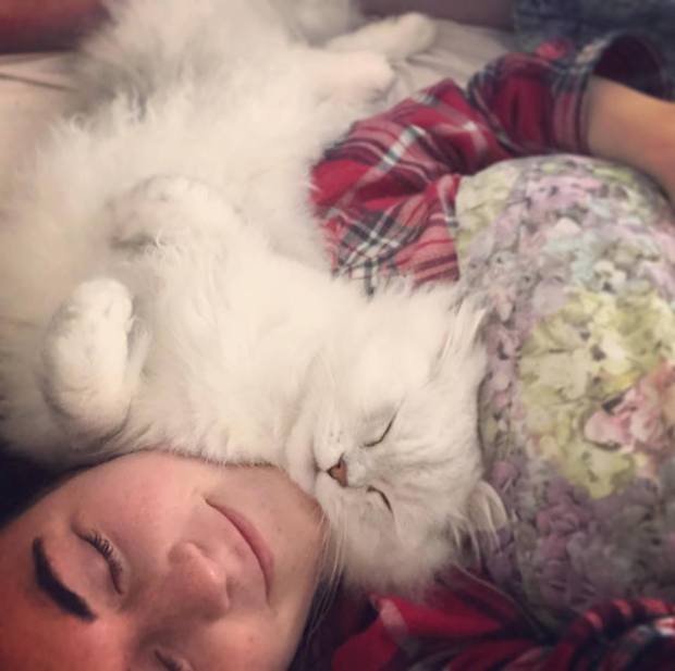 44198818_2224146077860054_7092025770691788800_n