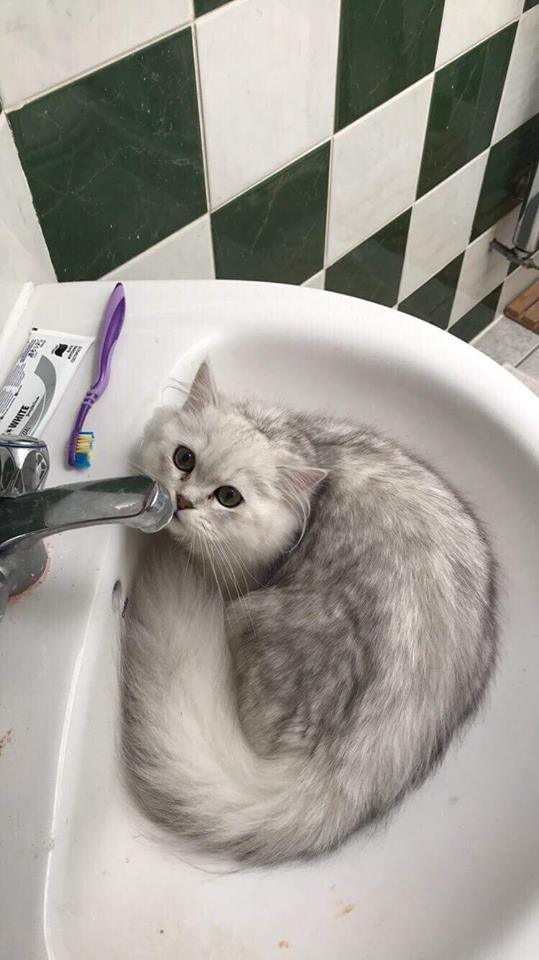 44281360_2237608213129361_8267834224011116544_n