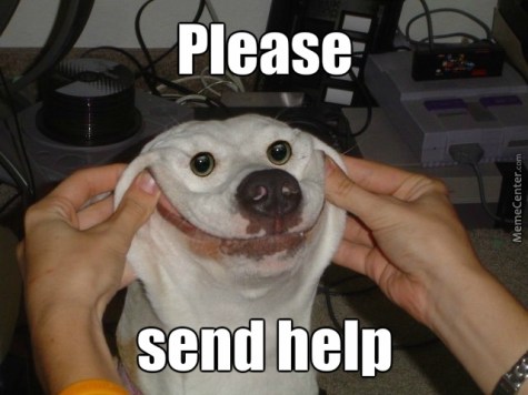 please-send-help_o_3987259