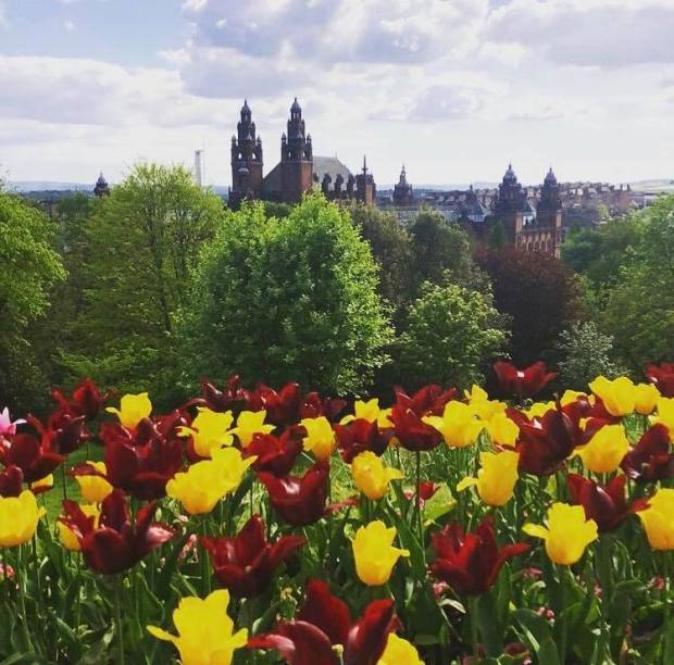 46463483_269960180384047_7866821236481851392_n