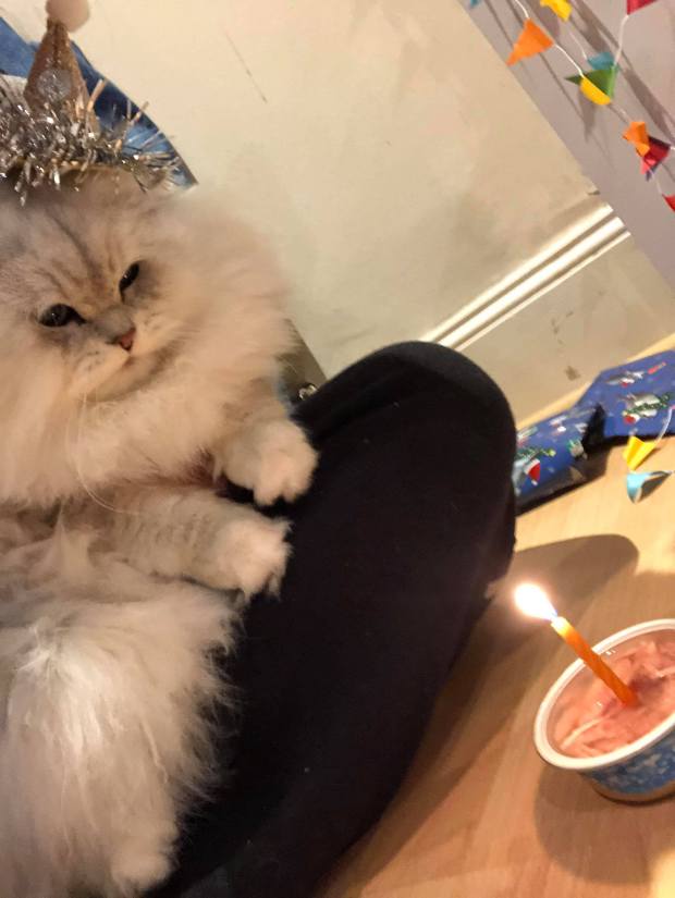 49052658_282529162345855_6335324332104876032_n