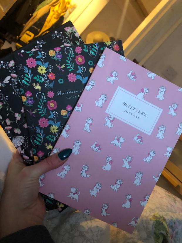 50568716_2279718792052360_8343317582748581888_n