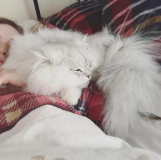 50609771_362861287879522_27124281842335744_n