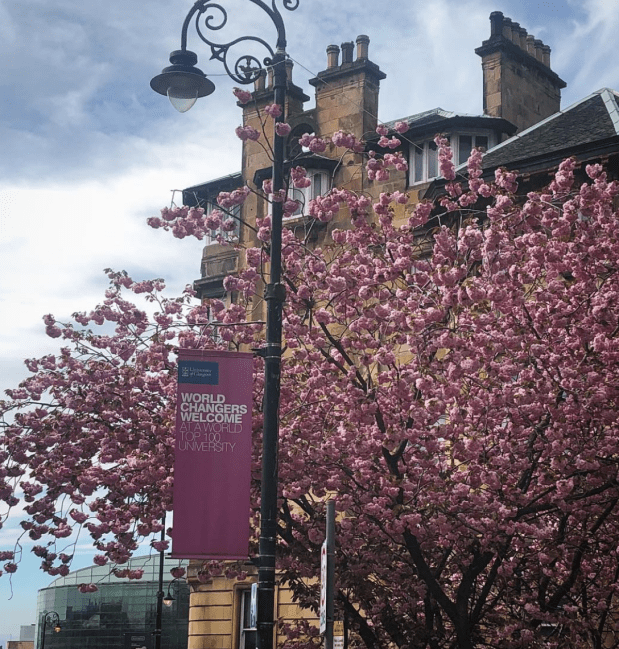 screenshot2019-01-31at14.20.14