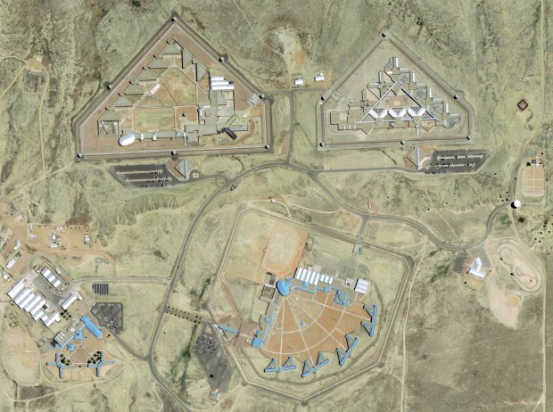 Charlie - sgsah_blogpost_image