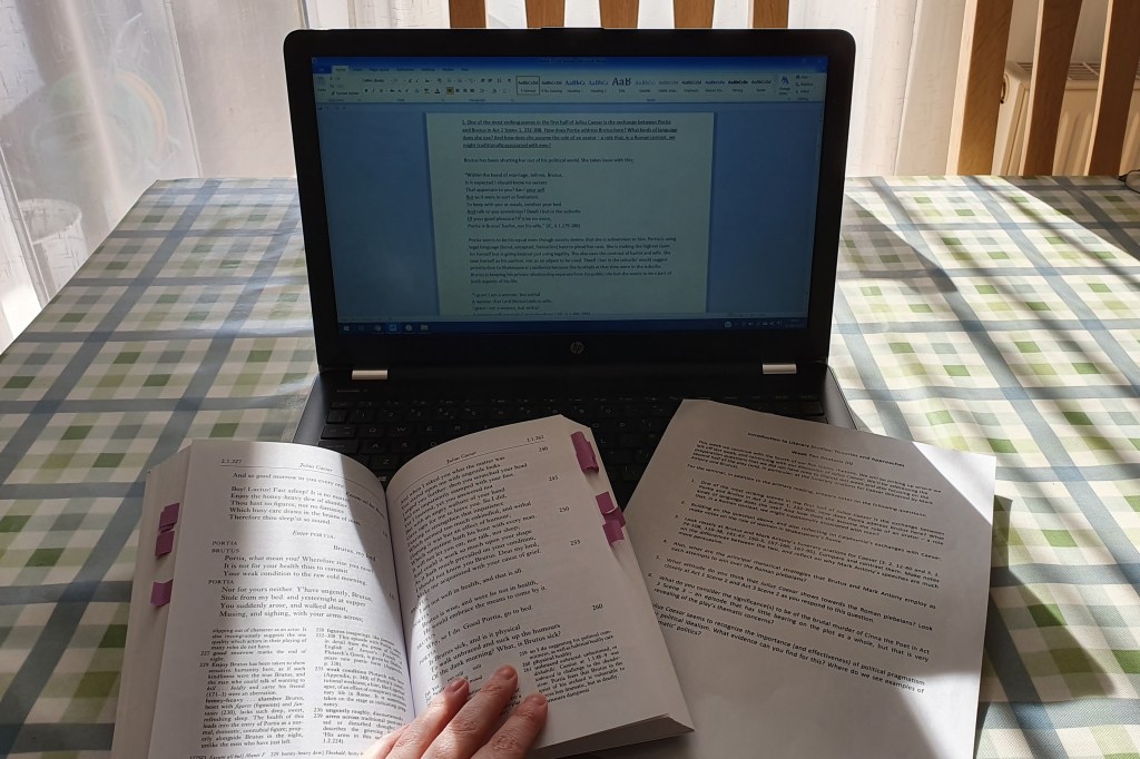 Seminar prep. One book lies open in front of a laptop and next to a printed out sheet of a lesson plan.