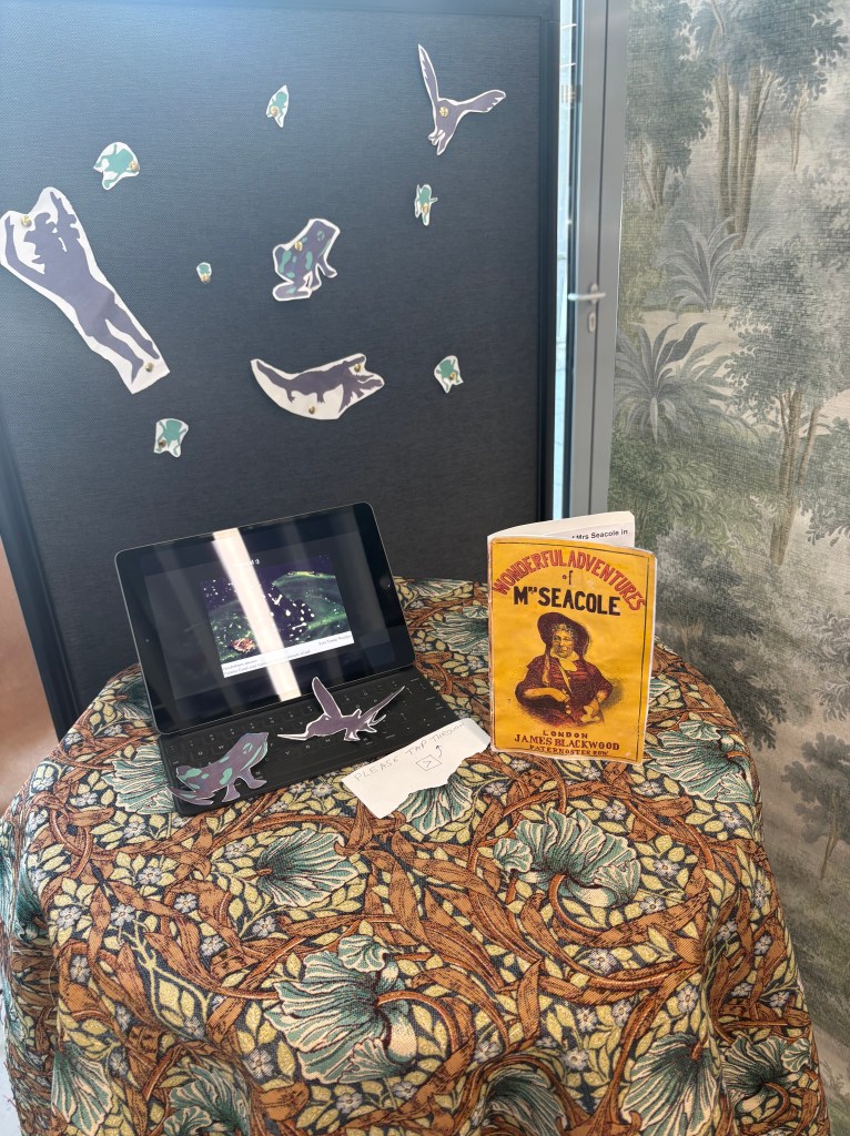 The Shadows of Barro Colorado exhibition featuring tropical plants, archival materials, Mary Seacole research and handmade figures.